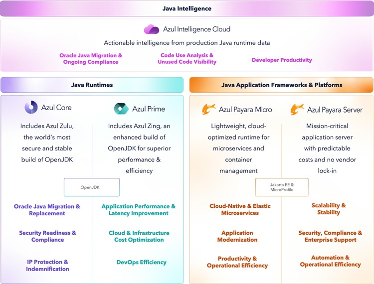 image of java ai
